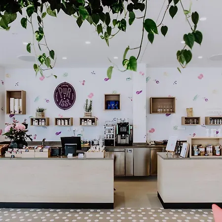 Amadeo Schaffenrath Salzbourg