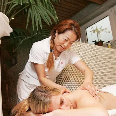 Amadeo Schaffenrath 4* Salzbourg