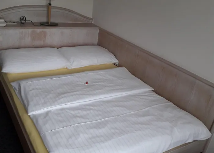 アマデオ シャッフェンラス ザルツブルク