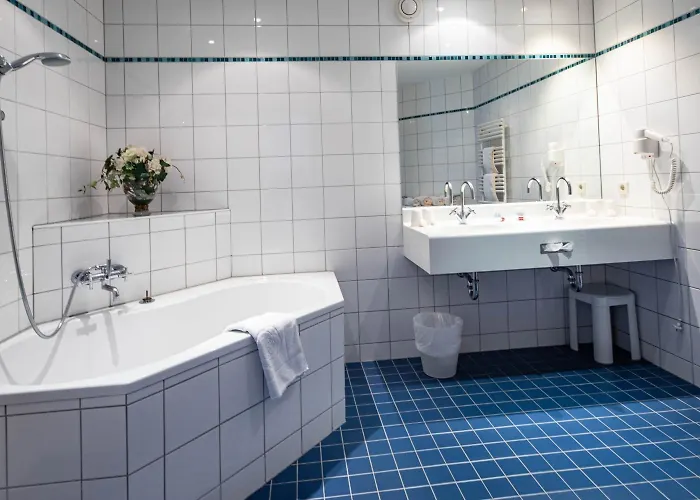 ホテル アマデオ シャッフェンラス 4*